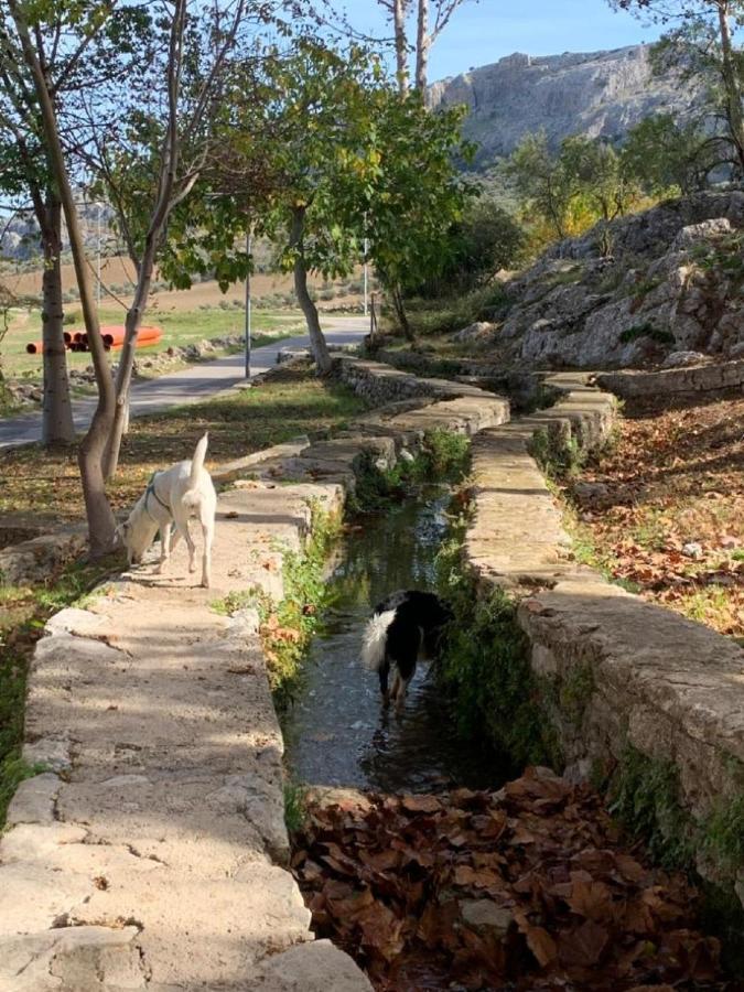 Villa Remedios Cuevas del Becerro Bagian luar foto