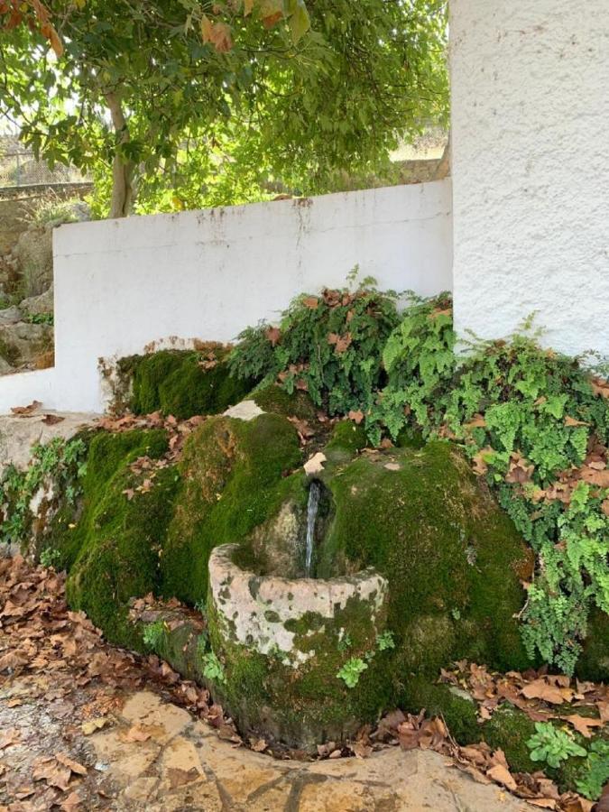 Villa Remedios Cuevas del Becerro Bagian luar foto